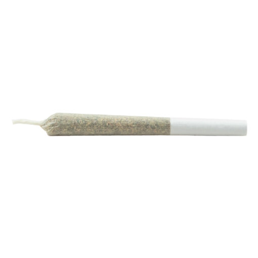 Daily Special - Js Gasberry Pie Pre-Roll - 7x0.5g