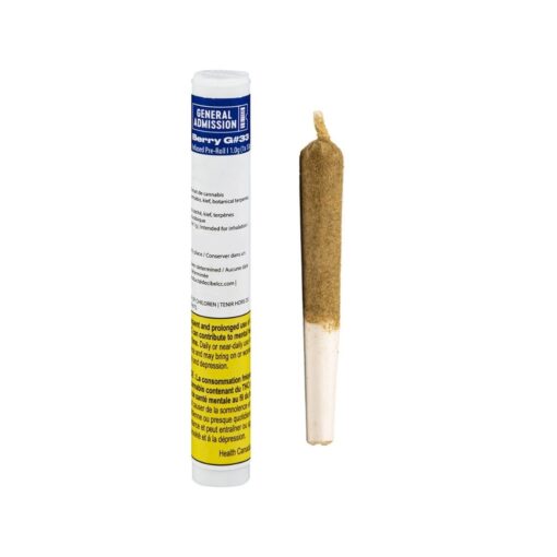 General Admission - Berry G#33 Infused Pre-Roll - 1g